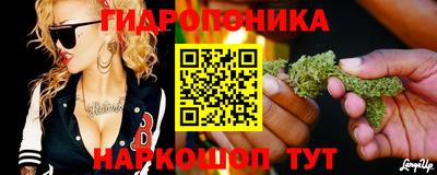 метадон Лесосибирск