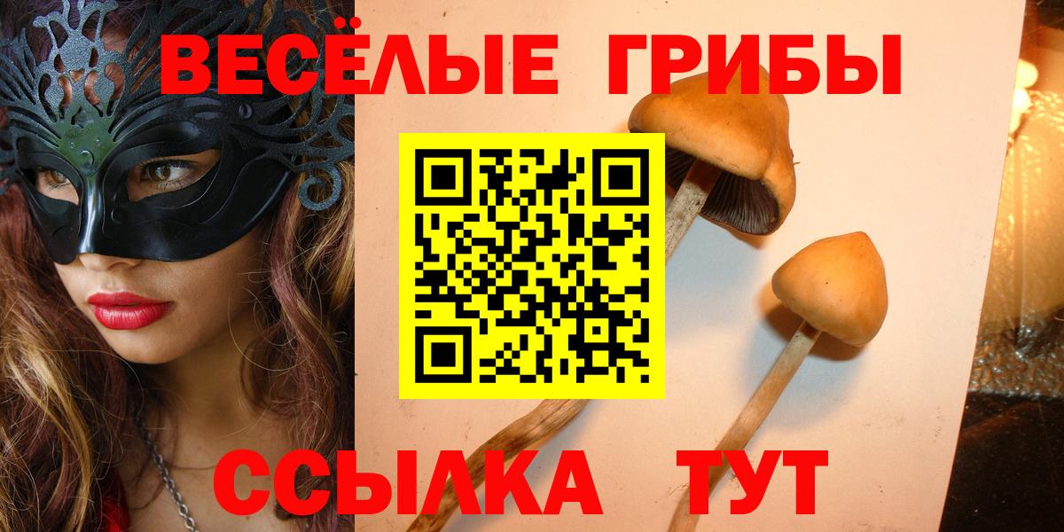 Псилоцибиновые грибы Psilocybine cubensis Ялуторовск