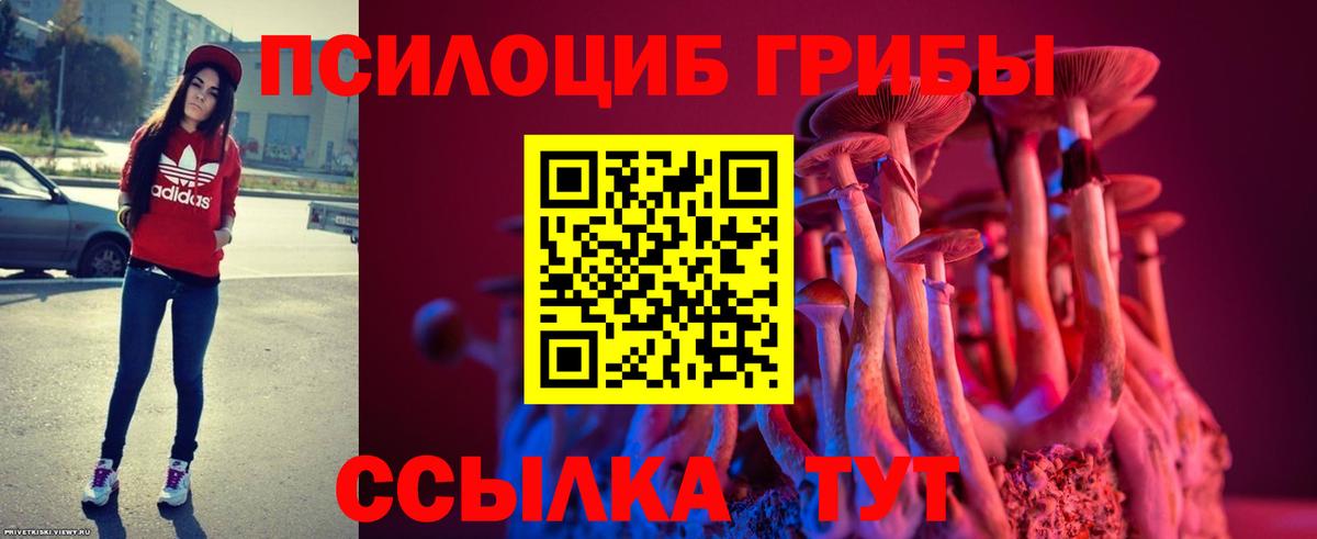 Галлюциногенные грибы Magic Shrooms  Галлюциногенные грибы Cubensis  Ялуторовск  Вход с VPN 